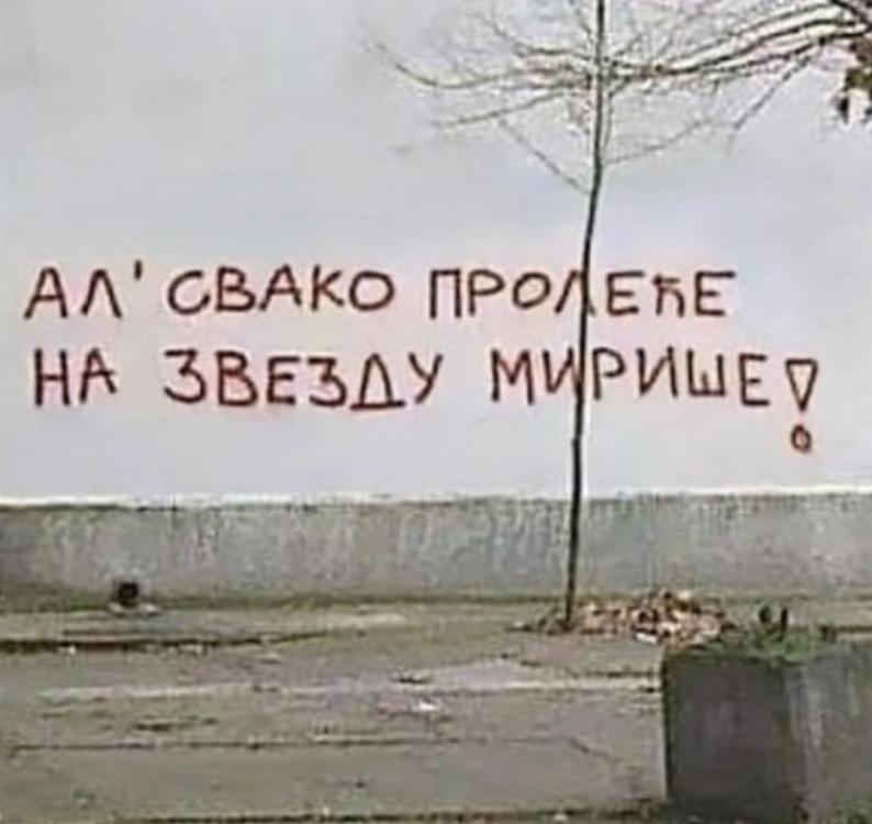 IMG-b95b78e244144c28f8fa66c21dfce00b-V.jpg