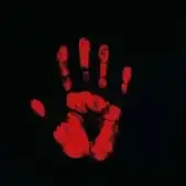MinjaR
